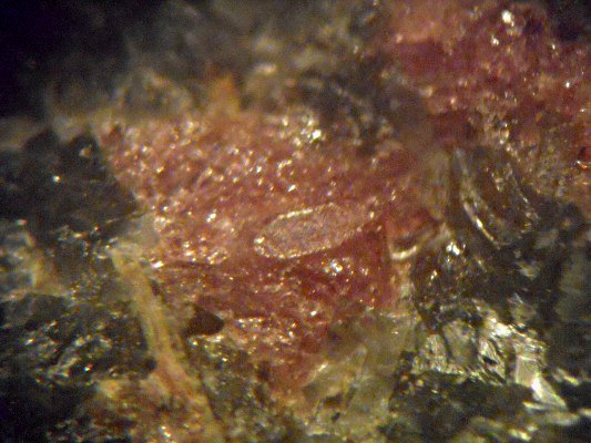 Manganoeudialyte