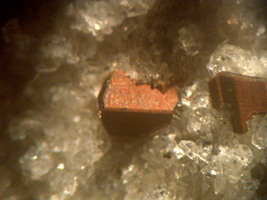 Magnesio-ferri-fluoro-hornblende