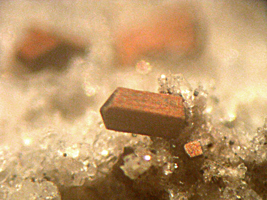 Magnesio-ferri-fluoro-hornblende