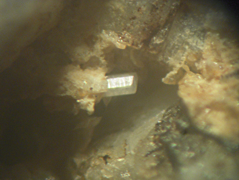 Petarasite