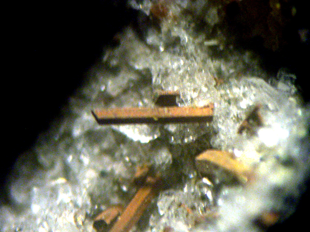 Magnesio-ferri-fluoro-hornblende