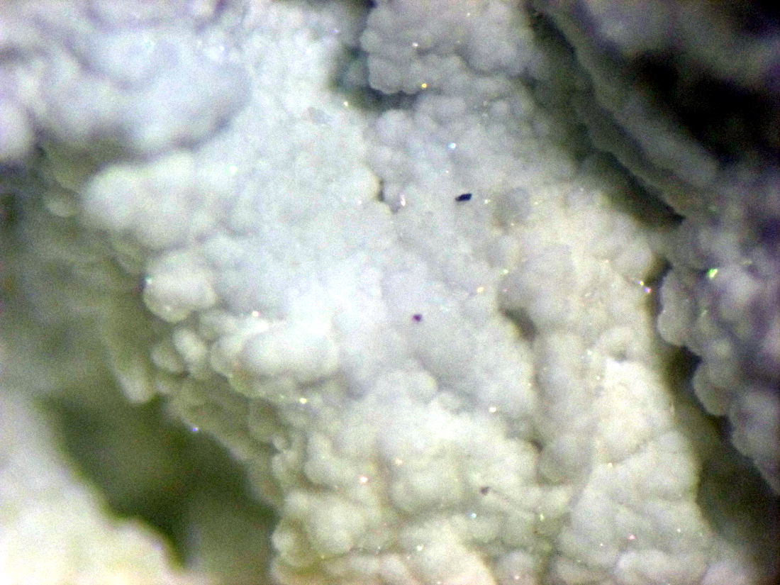 Matulaite