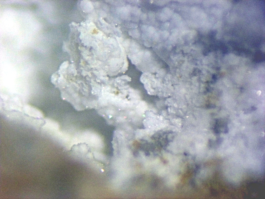 Matulaite