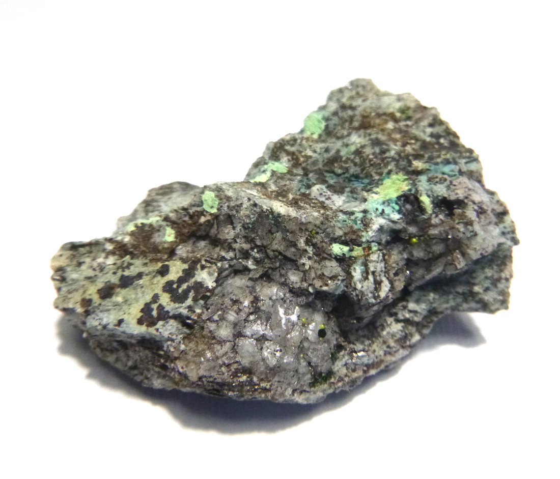 Eulytine