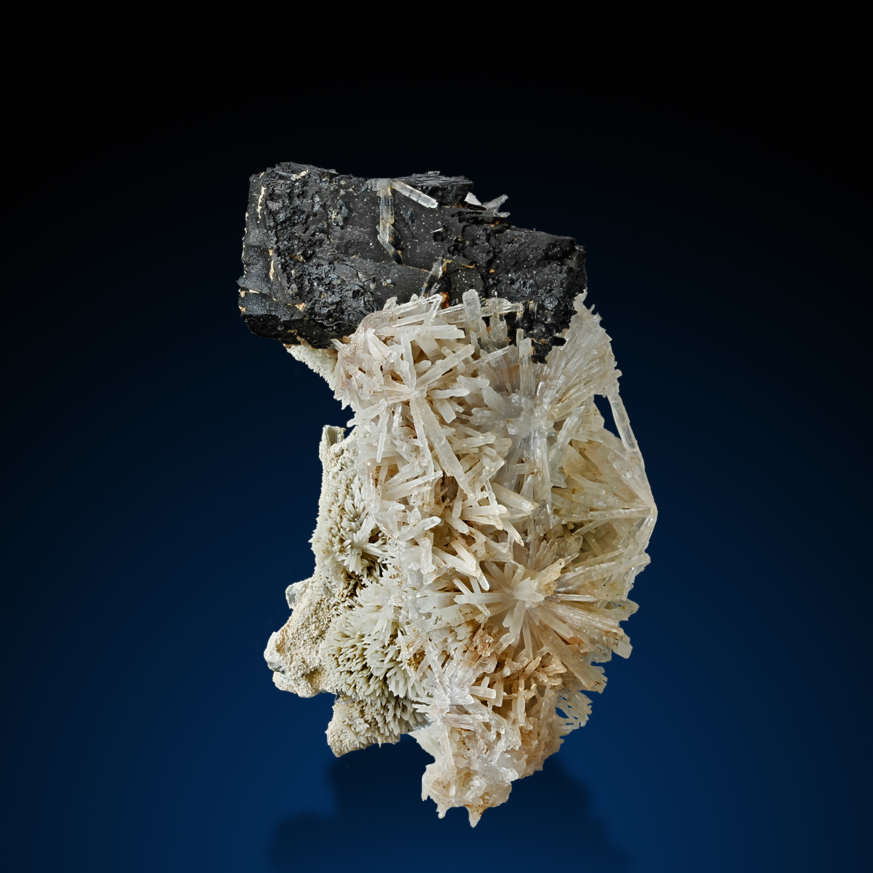 Ilvaite & Quartz