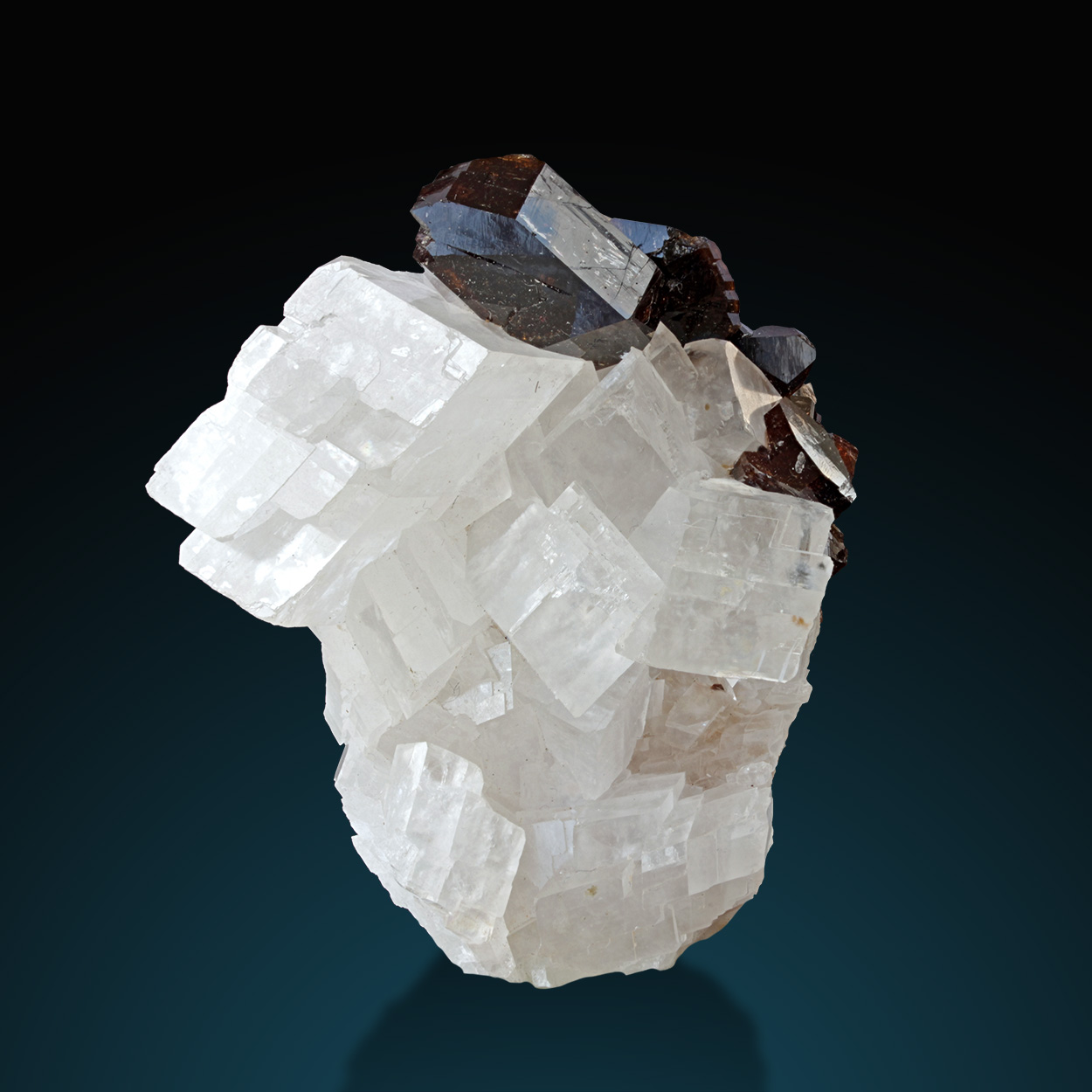 Dravite