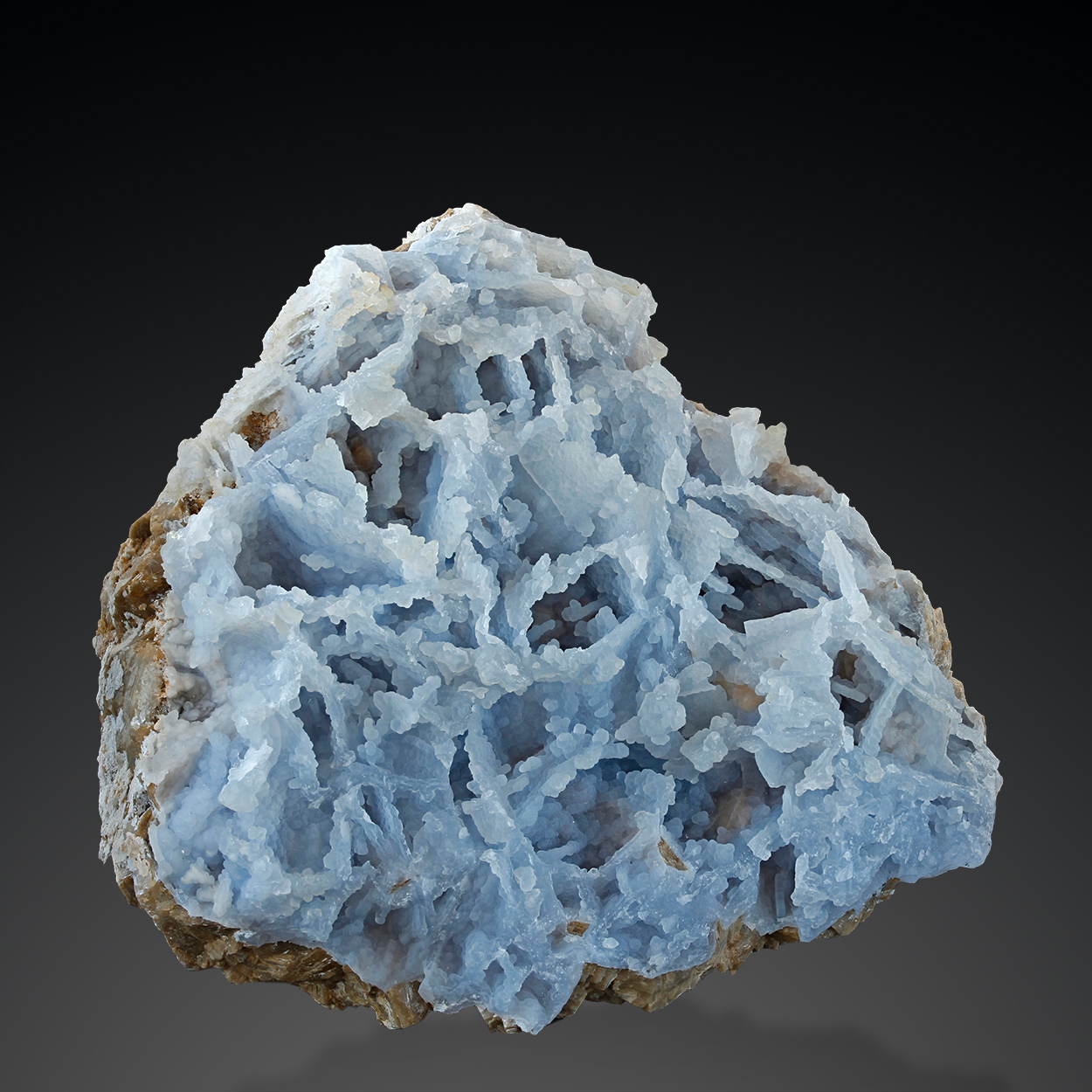 Chalcedony Psm Calcite & Siderite