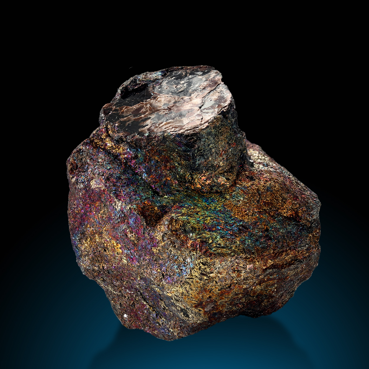 Phlogopite & Chalcopyrite