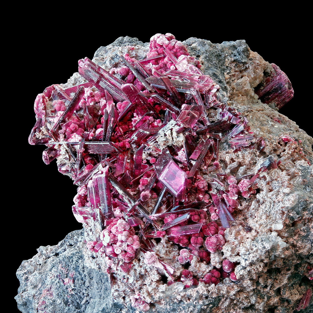Erythrite & Cobaltkoritnigite