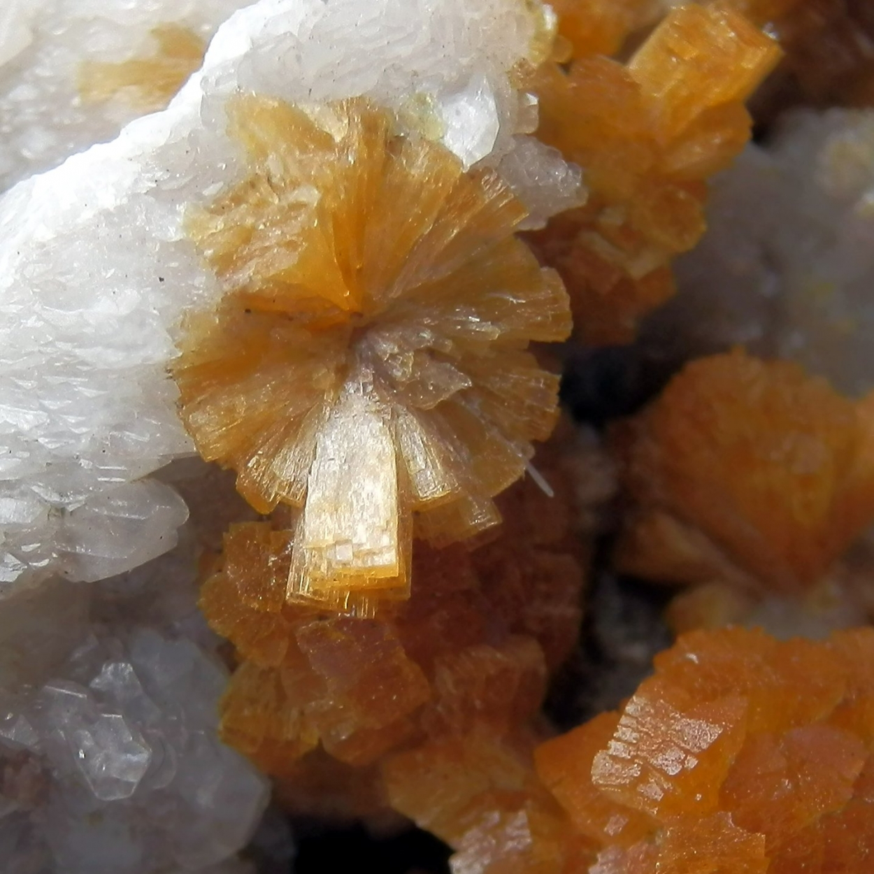 Stellerite