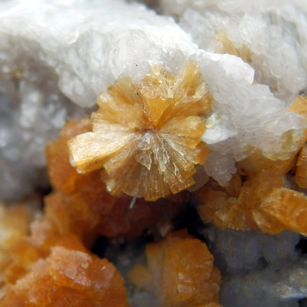 Stellerite