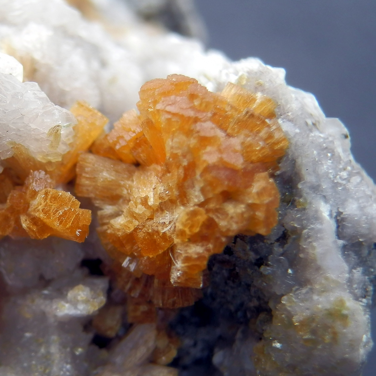 Stellerite