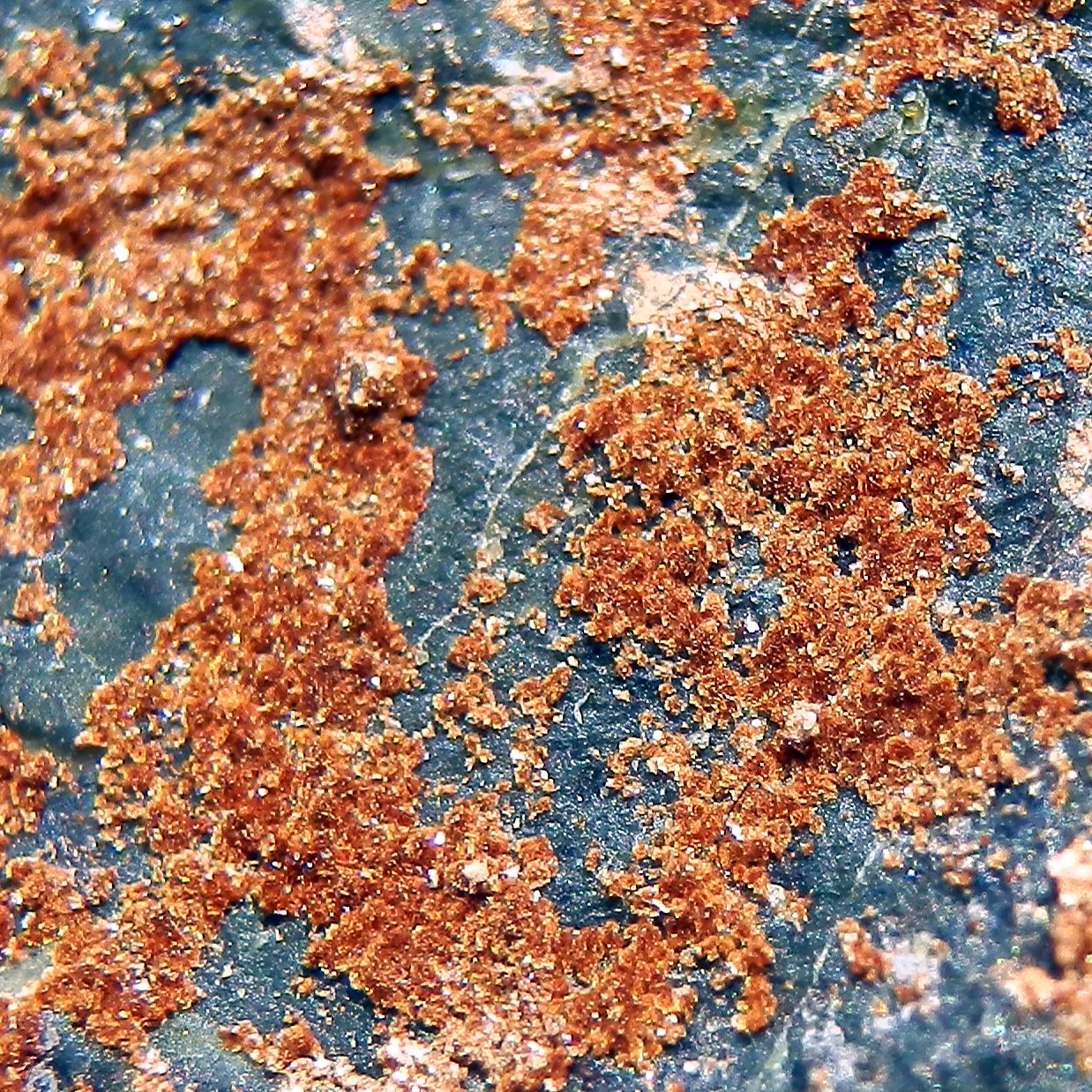 Pyroaurite