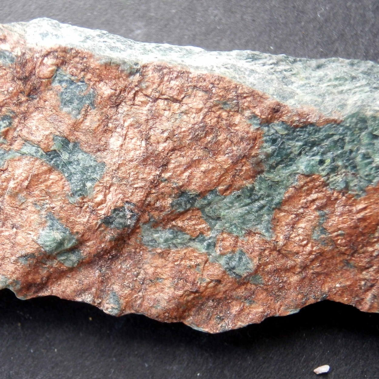 Stevensite