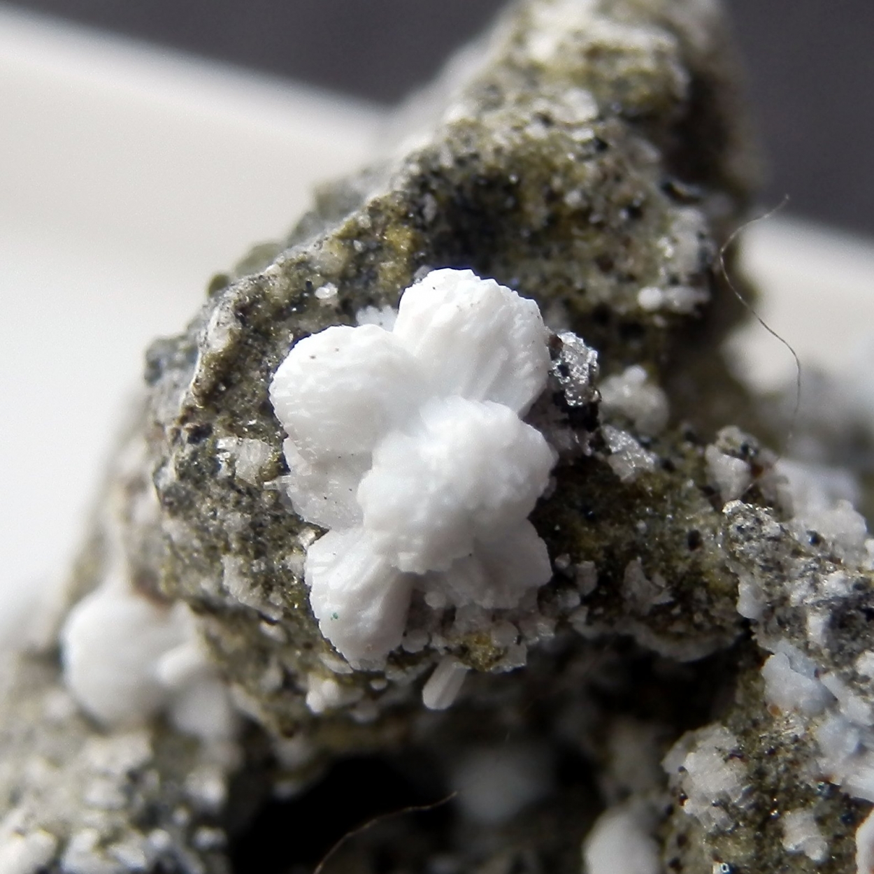 Microsommite & Phillipsite