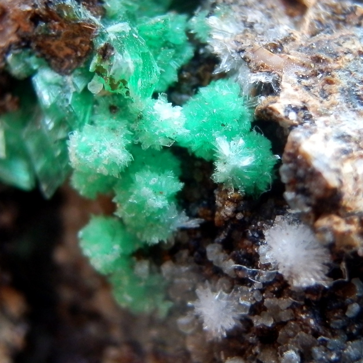 Annabergite & Aragonite