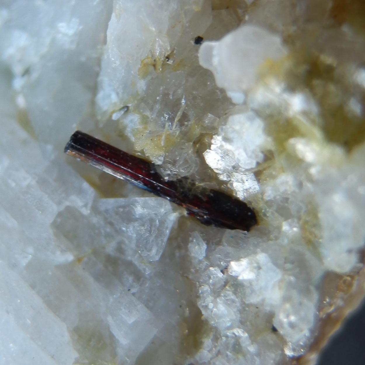 Rutile