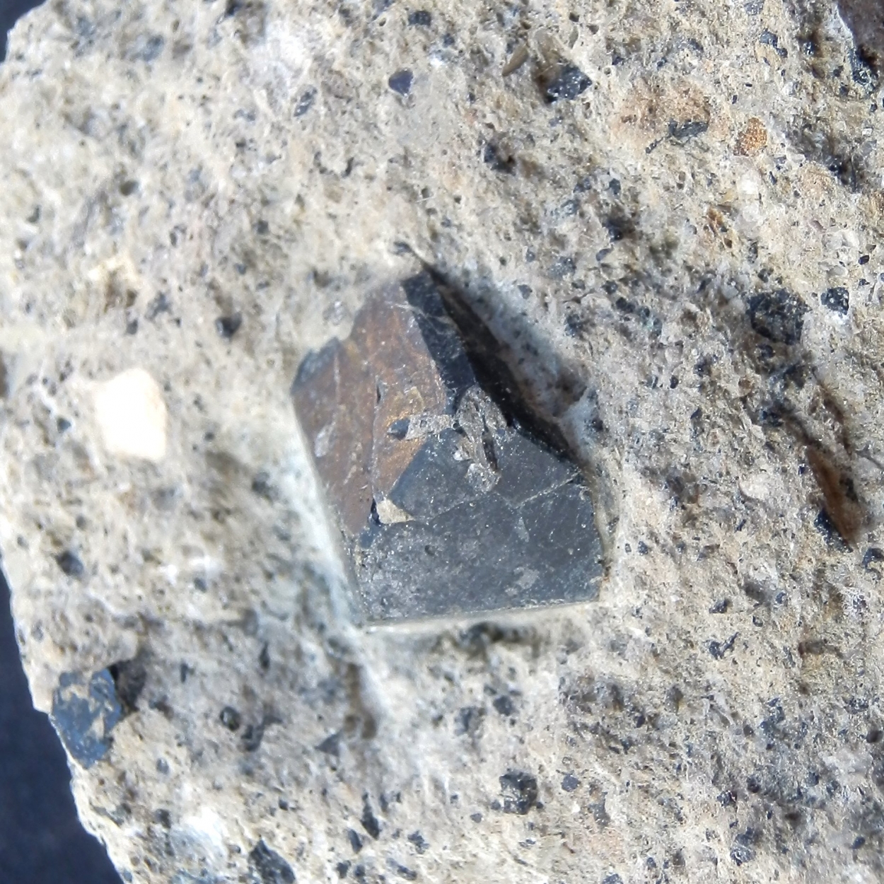 Augite