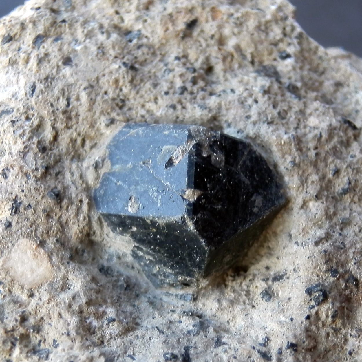 Augite