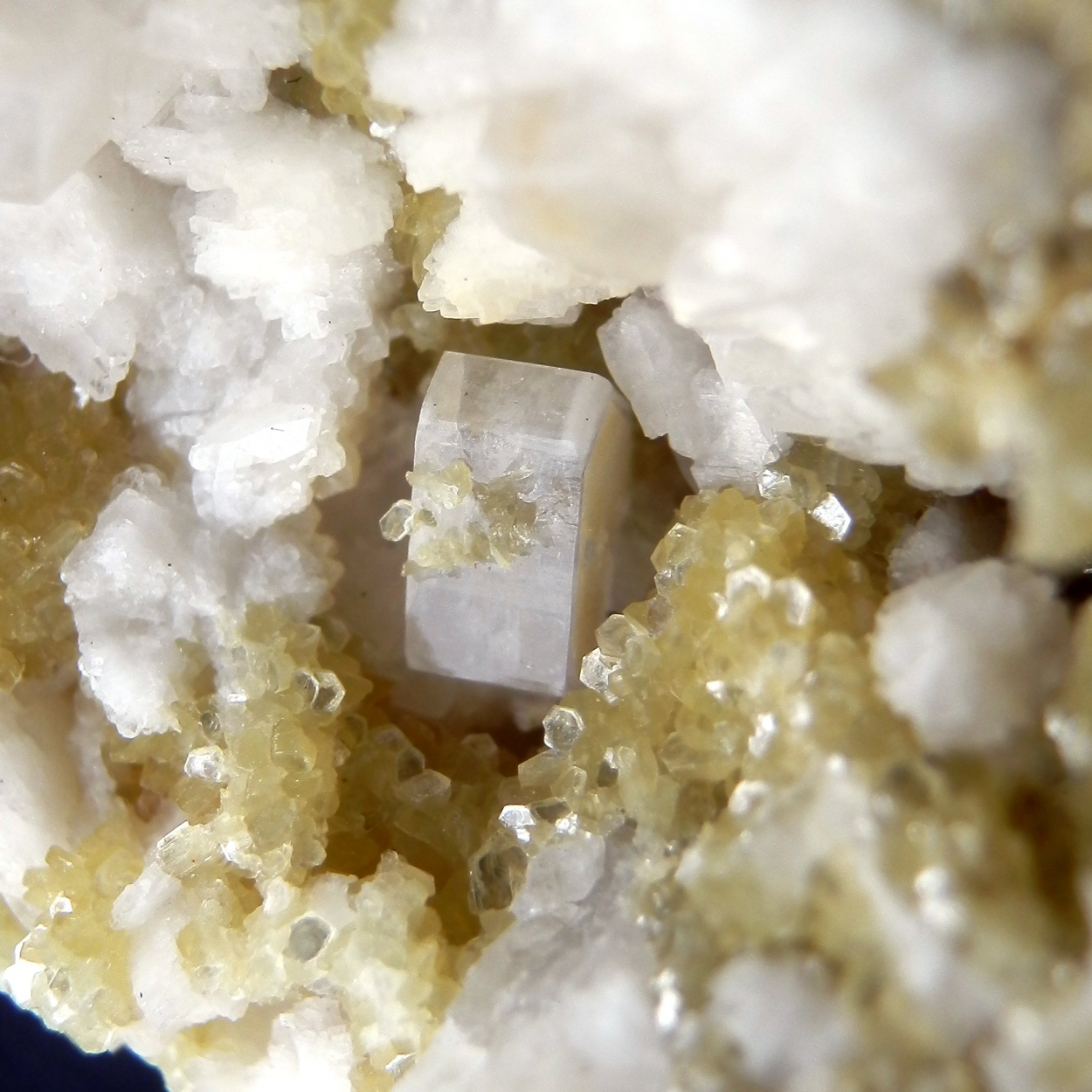 Cookeite & Fluorapatite