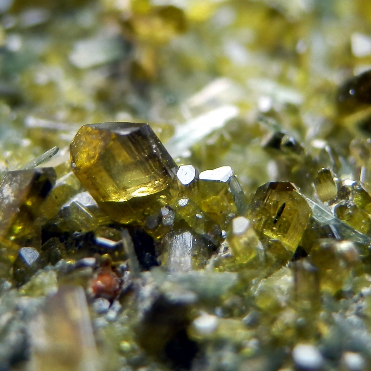 Epidote