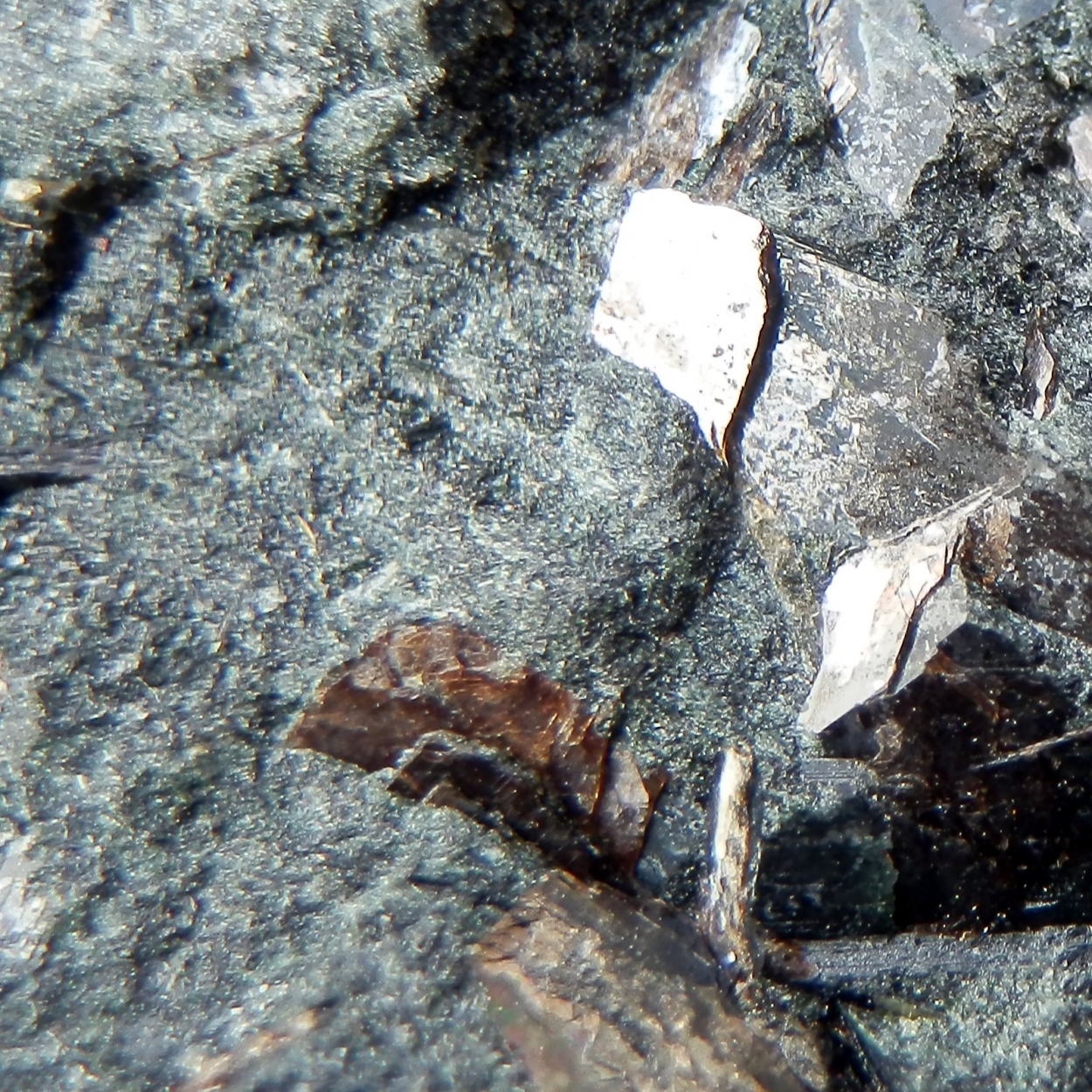 Lomonosovite