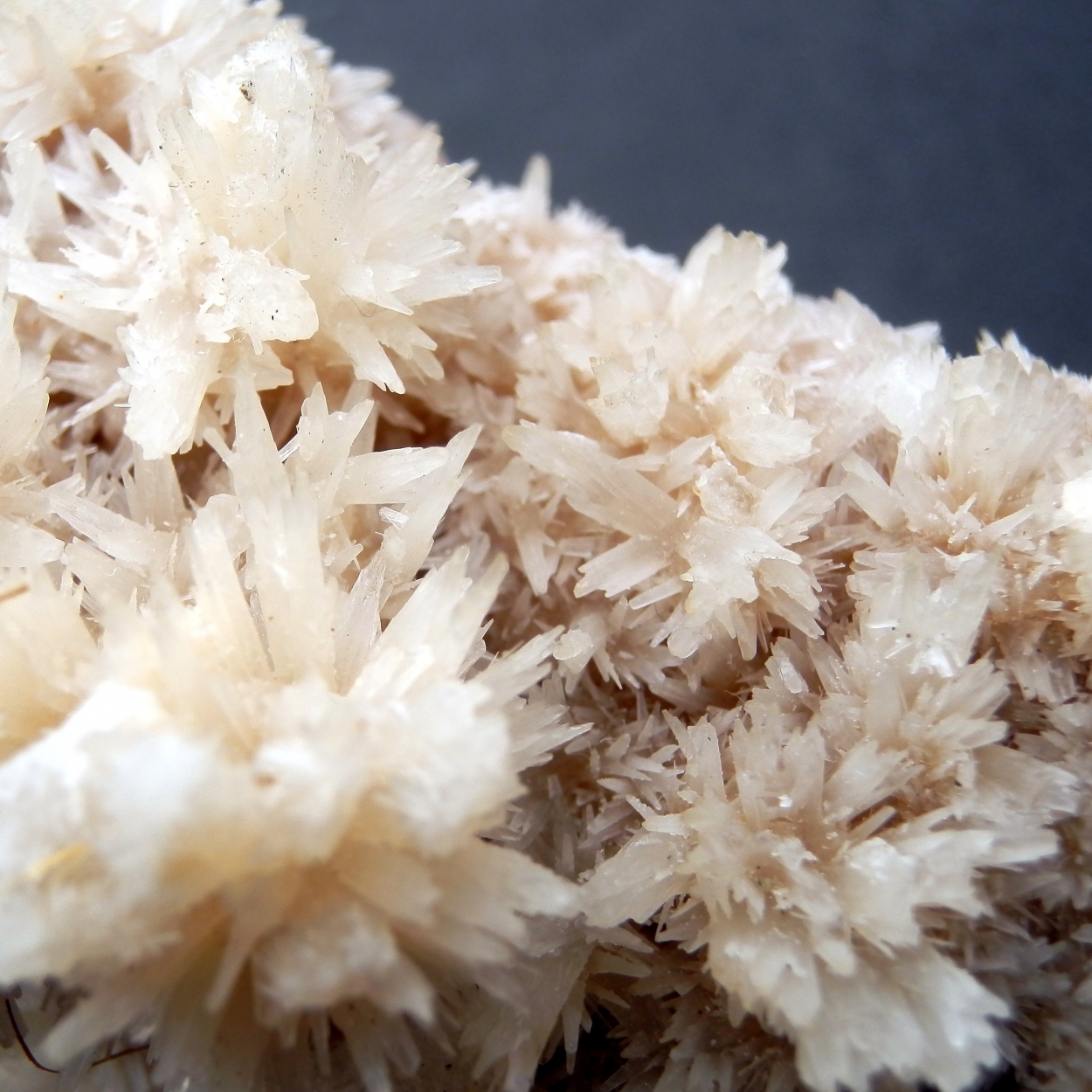 Aragonite