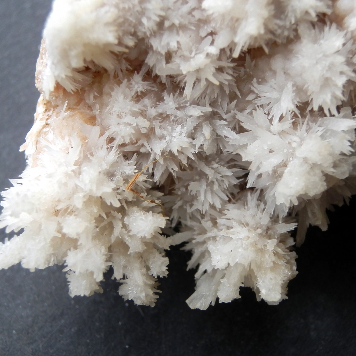 Aragonite