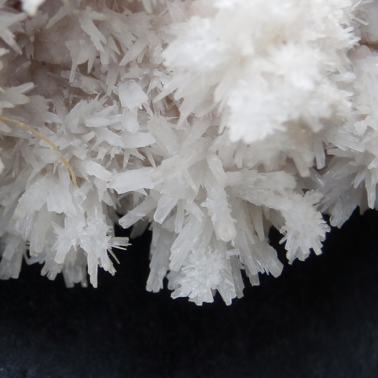 Aragonite