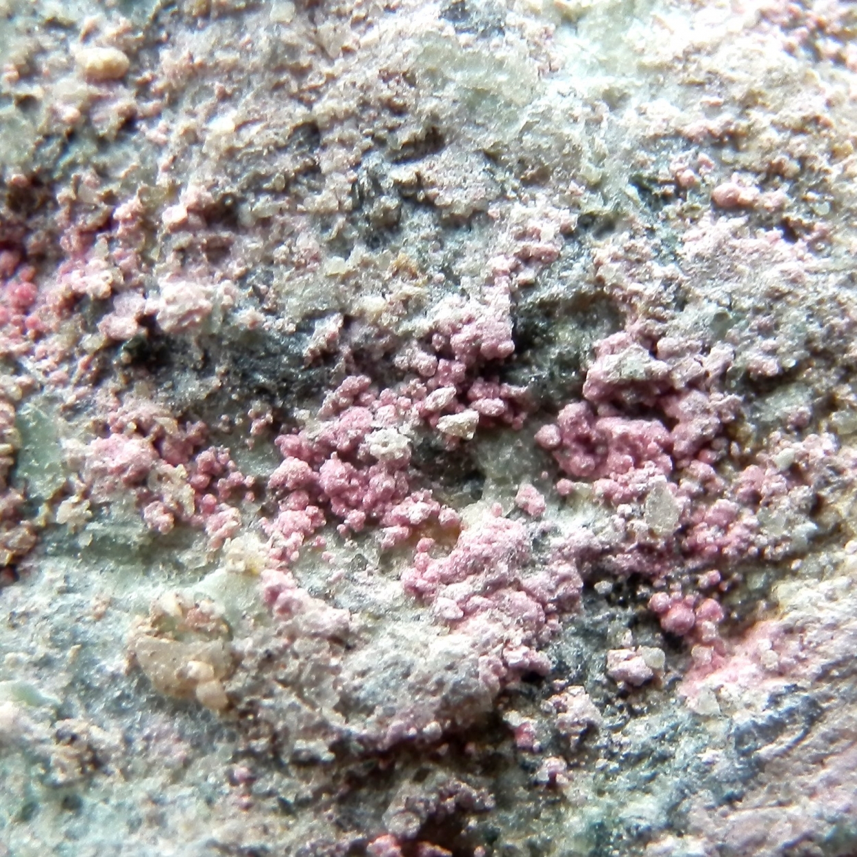 Picropharmacolite & Erythrite