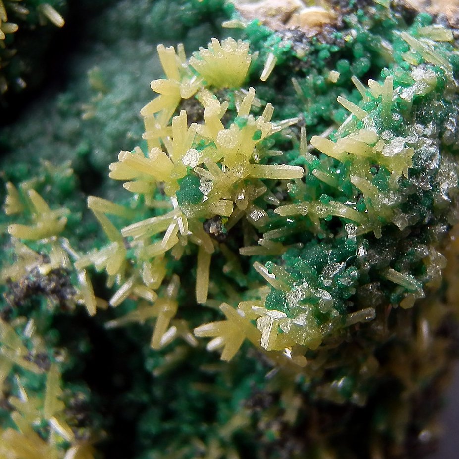 Pyromorphite & Pseudomalachite