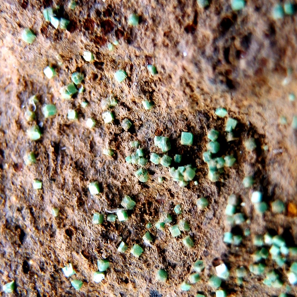 Torbernite