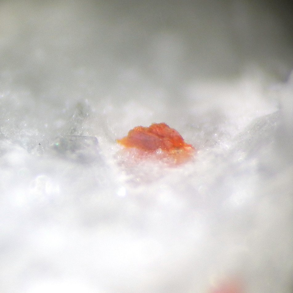 Ambrinoite