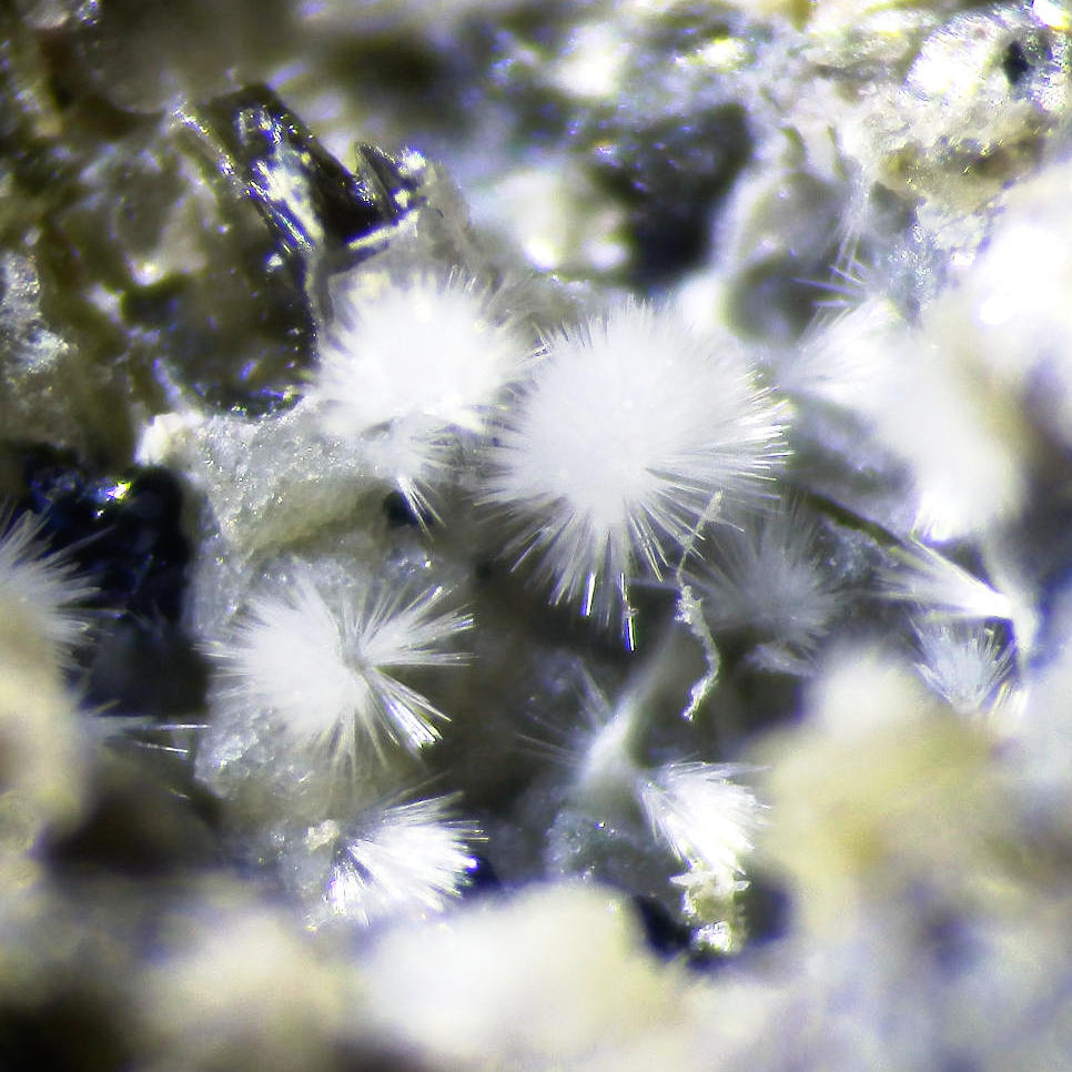Aragonite