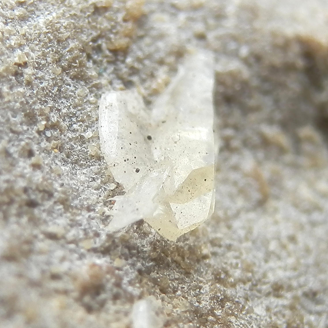 e-Rocks Mineral Auctions