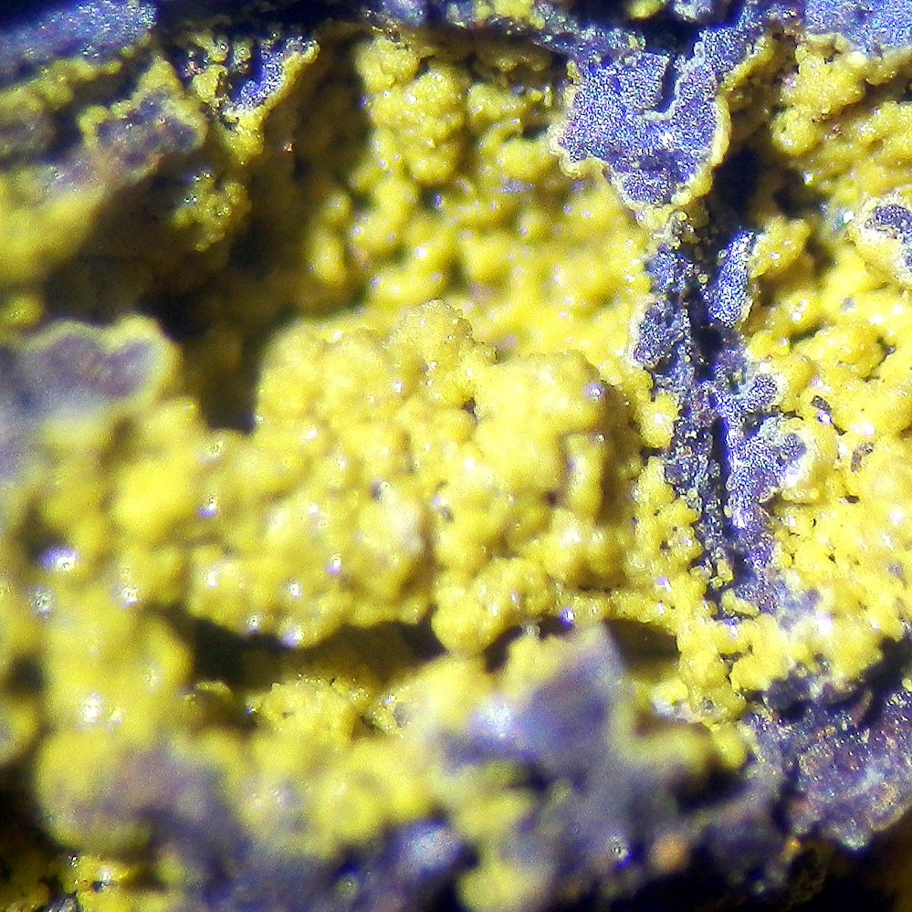 Natrojarosite