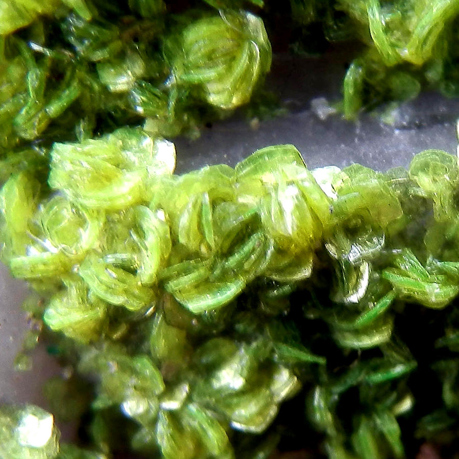 Autunite