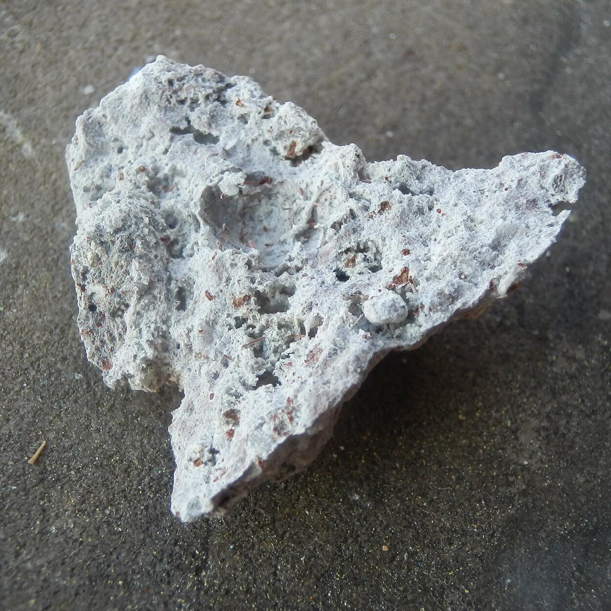 Magnesio-ferri-fluoro-hornblende