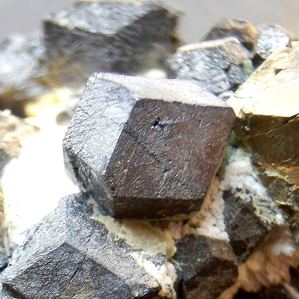 Pyrite & Magnetite