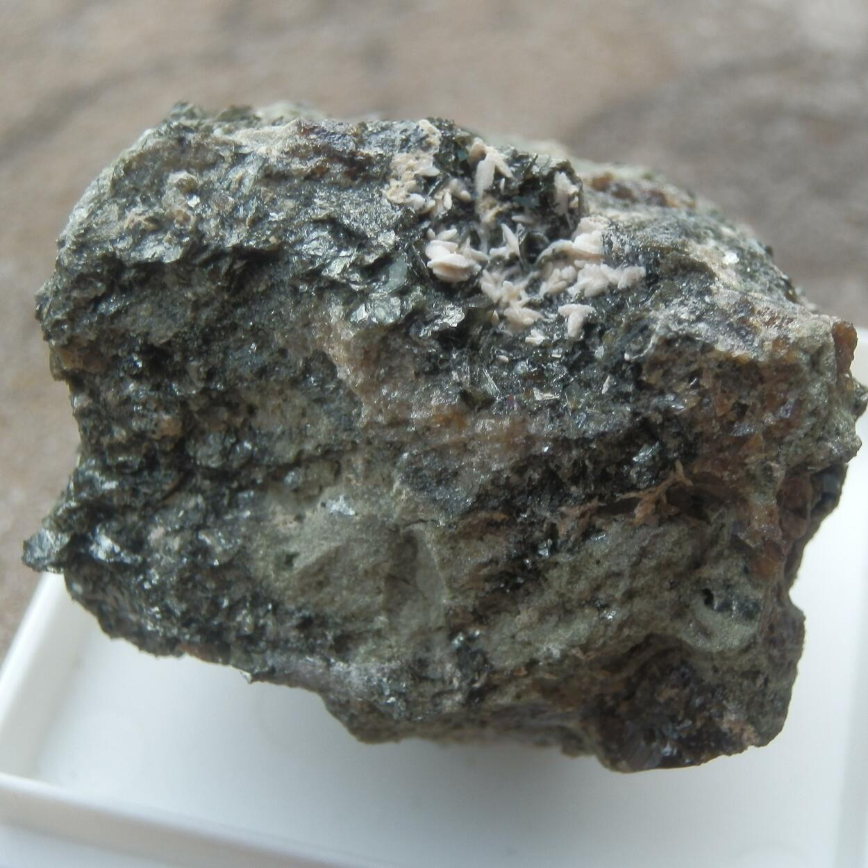 Cuspidine