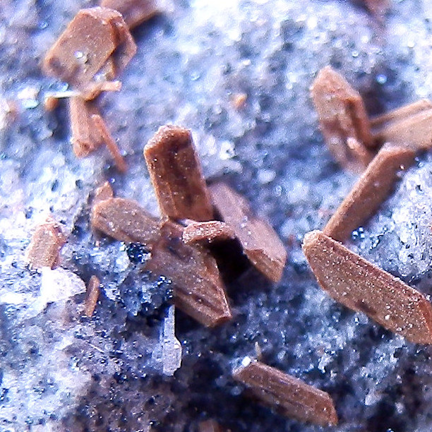 Enstatite