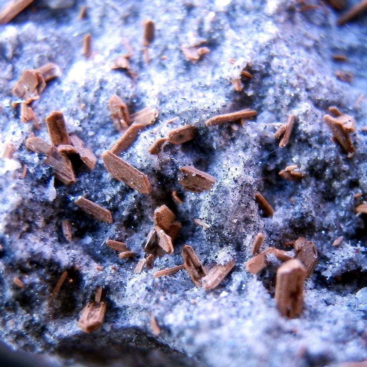 Enstatite