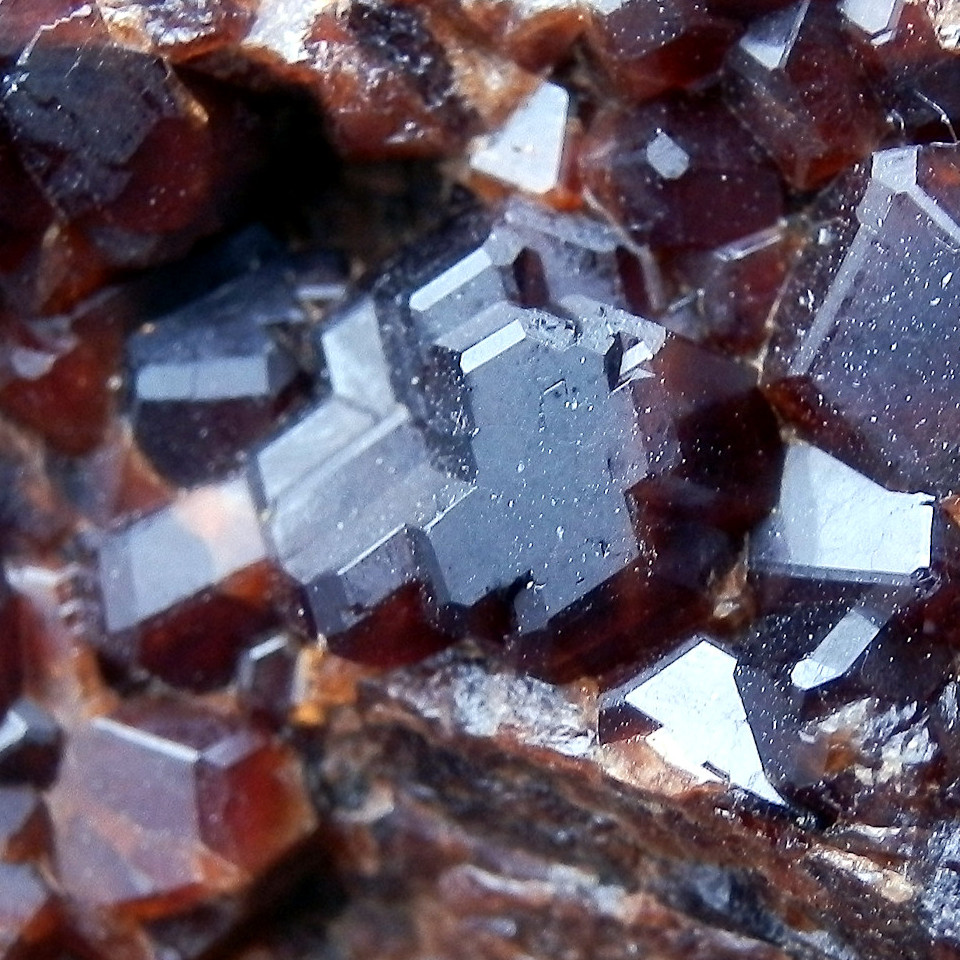 Garnet