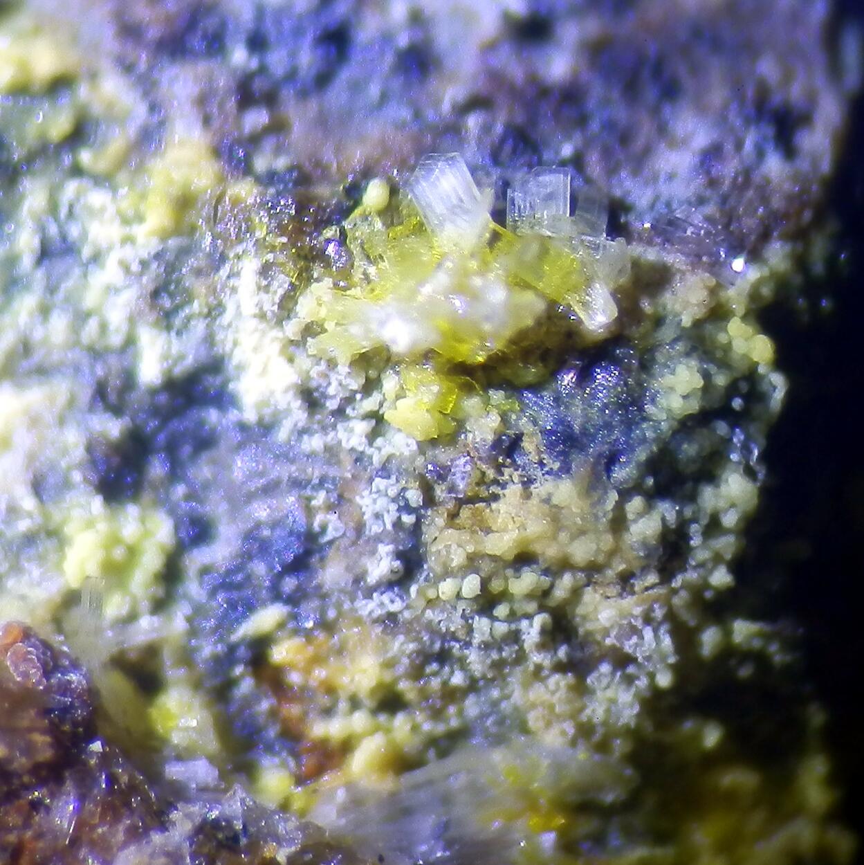 Joliotite