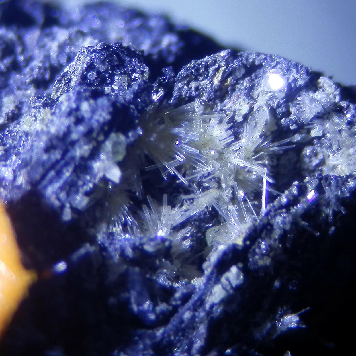 Klebelsbergite