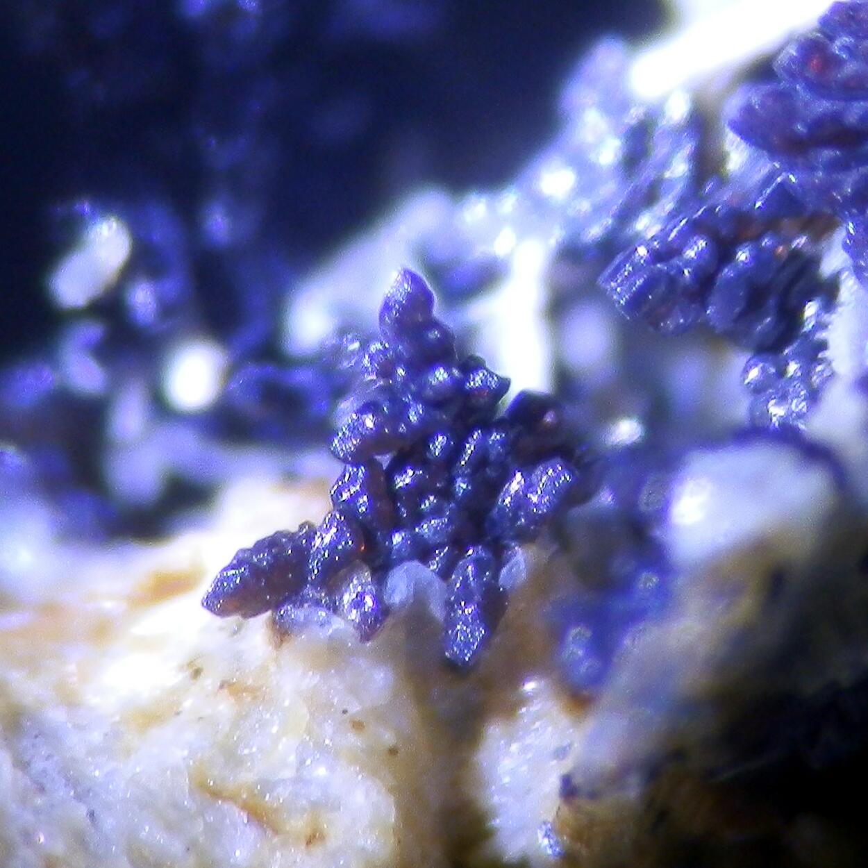 Perovskite