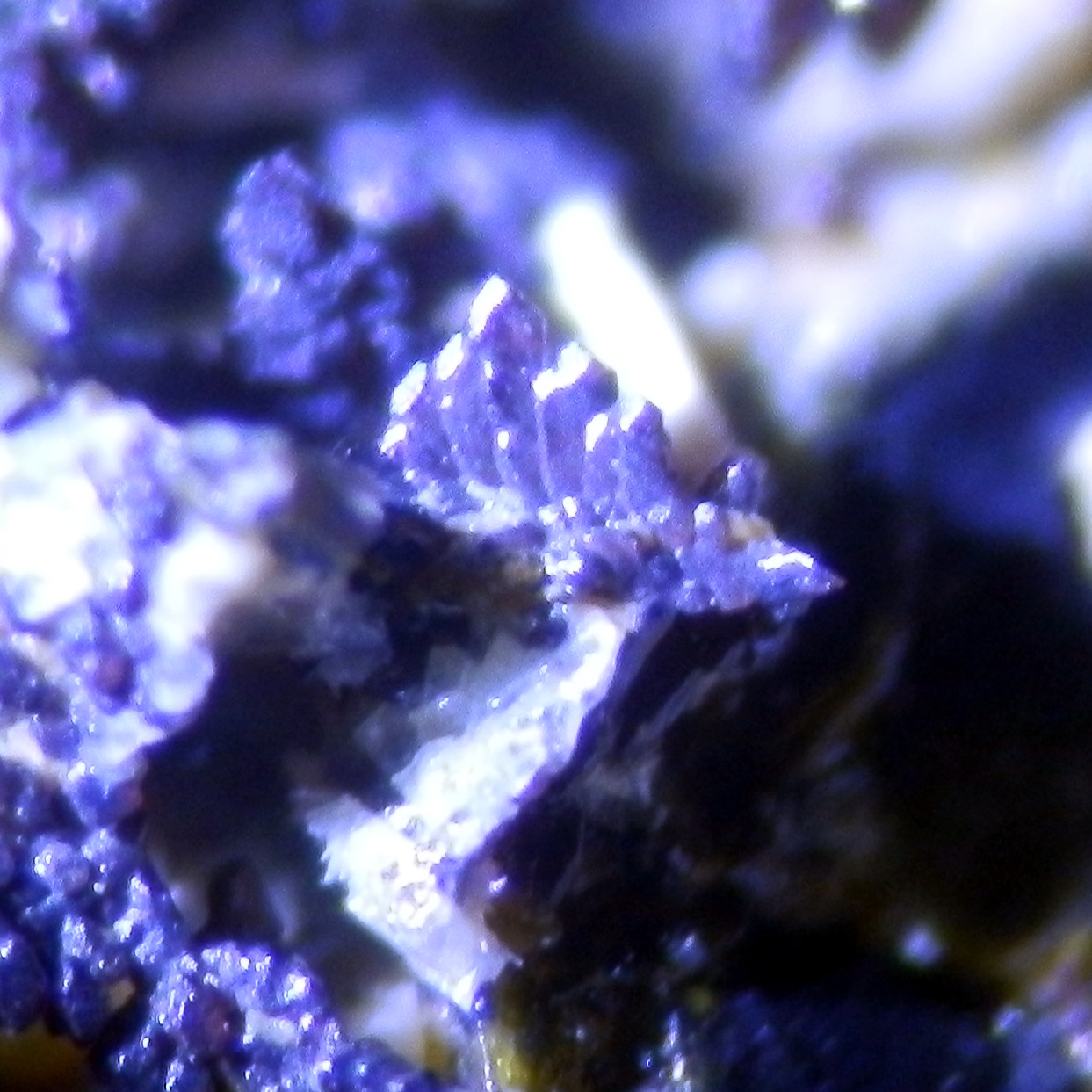 Perovskite