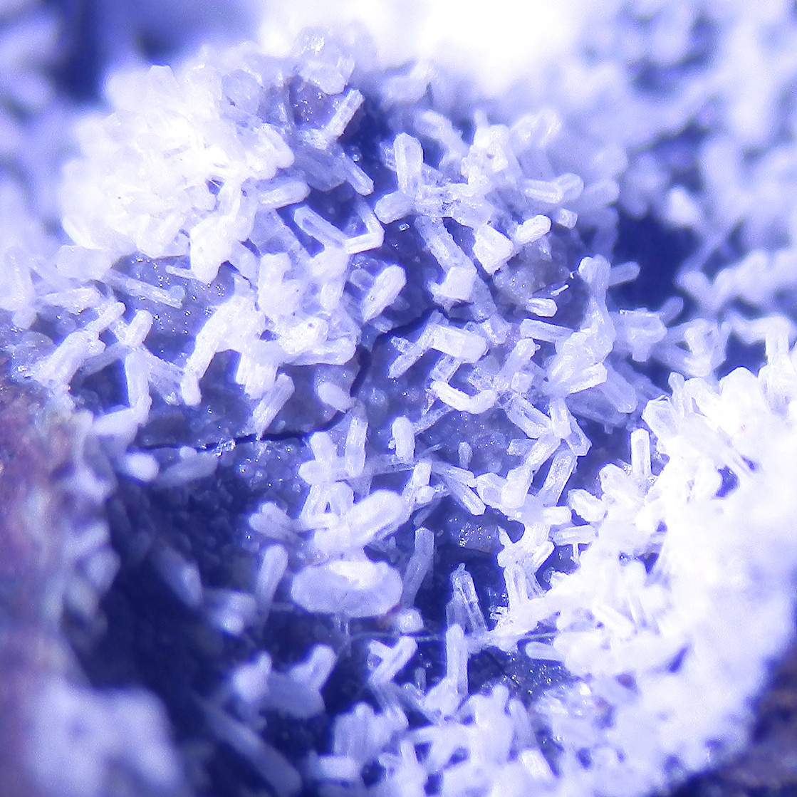 Phillipsite