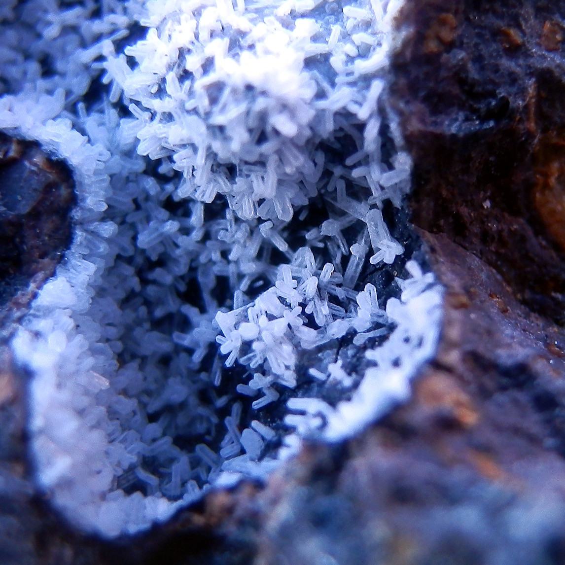 Phillipsite