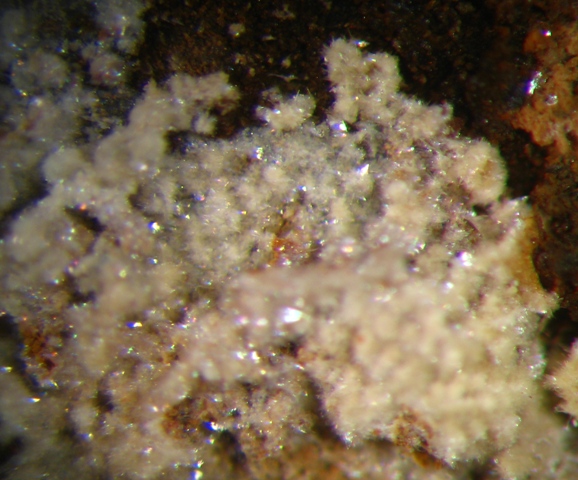 Metakahlerite & Uraninite